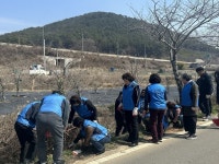 마산합포구 구산면 주민자치회, 벚꽃동백길조성