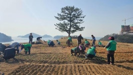남해군 미조면 새마을협의회·부녀회 봄꽃심기 봉사활동