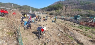 마산합포구 현동자생단체, 묘촌 어울림 텃밭 환경정비