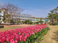 사천시, 새봄맞이 튤립 꽃길 조성