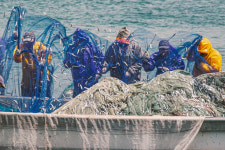 5월, 온 세상이 남해군 수산물의 매력에 흠뻑 빠지다!