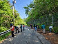 봄꽃 만개한 통영시 명정동, 대대적 환경정비 활동 실시