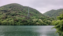 주오돈의 일상 스케치 - 산꿩은 알을 품고