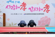 통영시 미수동, 2024년 경로 효(孝)잔치