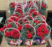 거창군 주상면, 어버이날 맞아 감사의 마음 전해