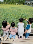 의창구, 창원육아종합지원센터 인근 유채꽃밭 쉼터 조성