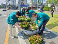 밀양시 내이동, 여름꽃 식재로 청량한 거리 조성