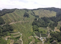 거창군, 지자체 합동평가 산림분야 우수 시군 선정