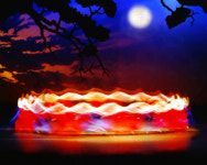 (사)한국사진작가협회 진주지부, 제35회 한·중 국제사진 교류전