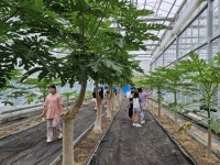 고성군 회화초등학생 농업기술센터 견학 및 체험