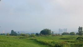 주오돈의 일상 스케치 - 입추를 앞둔 새로운 한 주
