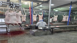 경남도, 도축량 증가 대비 도축 검사 강화