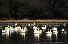 창녕 활동 사진가 하동칠 사진전 개최
