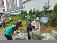 창원시 마산회원구 회원2동 새마을협의회·부녀회, 골목길 작은 정원 정비