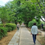 창원시 마산합포구, 임항선 그린웨이 더욱 편리한 산책 공간으로 변신