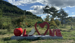 밀양시 산내면 가인교차로 사과 조형물, 새 옷 입다!