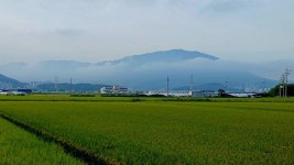 [데스크 단상] 배반의 계절