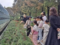 창원시 진해가족센터, 가족 숲 체험 프로그램 성료