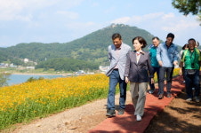 통영시, 사량도 덕동마을 황화코스모스 축제 성료
