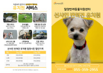 밀양시, 11월 5일부터 선샤인 반려견 유치원 개장