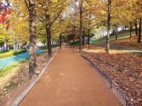거창군, 죽전공원 내 맨발걷기 산책로 조성 완료