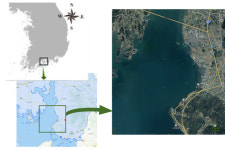 에코피스아시아-KB국민은행, 사천시에 2차 바다숲 조성