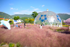 거제섬꽃축제, 지역을 넘어 전국단위 축제로 자리매김