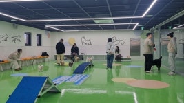 창원 펫-빌리지 문화센터, 반려견과 함께 하는 프로그램 본격 운영