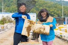 창녕군, 황규섭 창녕꿀벌농장 대표 양봉분야 대한명인 지정