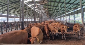 경남도, 스마트 축산업 육성으로 미래 선진 축산 선도!!