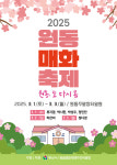2025 원동매화축제, 봄의 시작을 알리다
