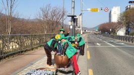 밀양시 가곡동, 봄꽃 식재로 활기찬 봄맞이 준비 완료