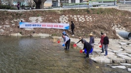 고성군 회화면, 생태계 복원… 배둔천에 100만마리 치어 방류