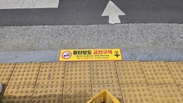 창원시, 월영광장교차로 및 합성사거리 횡단보도 금연구역 최초 지정