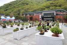 의령 전국 분경야생화 작품전시회 성료