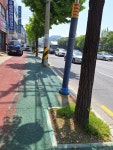 마산회원구 봉암동, 봉양로 일대 고사된 대형화분 철거