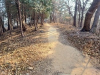 창원시 마산합포구, 무학산 둘레길 새 단장 시작