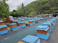 창원시, 2025년 양봉농가 소초광 지원사업 신청접수