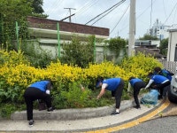 창원시 진해구 풍호동, 하절기 대비 제초 환경정비