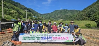 의령농협 , 임직원봉사단 양파 수확 일손돕기 전개