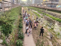 창원시 마산회원구 양덕2동, 수달 탐사 마무리