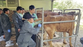 경상남도 축산연구소, 한우농가 자가 번식 수태율 향상을 위한 심화기술교육 실시