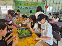 [올 여름 이곳 어때?] 비가 오나 눈이 오나 농장의 문은 열린다...함양꽃담농촌교육농장