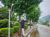 창녕군 이방면, 제헌절 맞아 태극기 전수조사 및 교체 실시