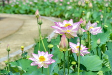 함안에서 만난 여름 한 조각 자연과 역사가 어우러진 여행지