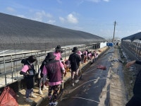 국립한밭대학교, 남해군 볼런투어 일환 다양한 봉사활동