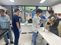 경남도, 착한 동물의료로 여름 재난 이겨냈다