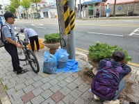 가을꽃으로 물든 통영시 정량동, 귀성객 맞이 준비 완료