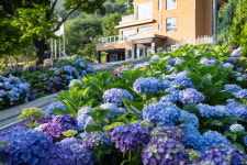 월아산 숲속의 진주 누적 방문객 150만명 돌파