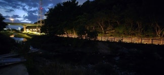 거제시, 고현천 산책로 개방…친환경 숲길 탄생